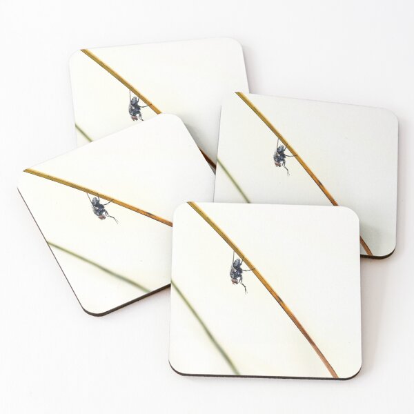 Item preview, I Spy - A Fly designed and sold by Siene Browne.