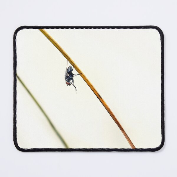 Item preview, I Spy - A Fly designed and sold by Siene Browne.