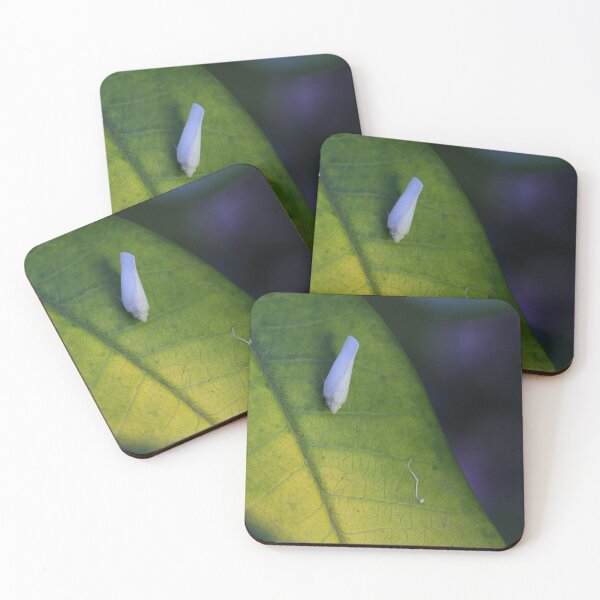 Item preview, The Plant Hopper designed and sold by Siene Browne.