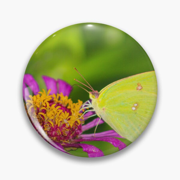 Item preview, Cloudless Sulphur designed and sold by pinkslipcrochet.