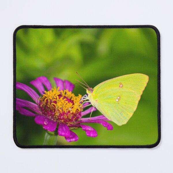 Item preview, Cloudless Sulphur designed and sold by pinkslipcrochet.