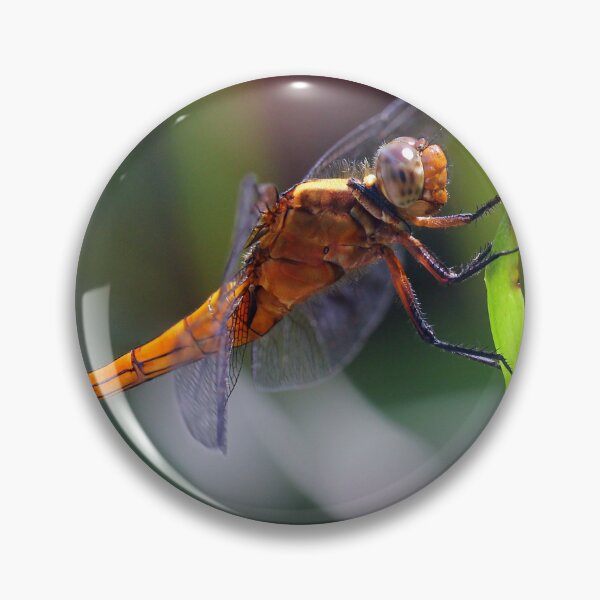 Item preview, Perched Fiery Skimmer Dragonfly designed and sold by Siene Browne.