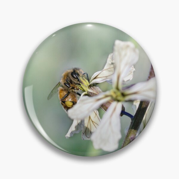 Item preview, Honey Bee Doing the Rounds designed and sold by Siene Browne.