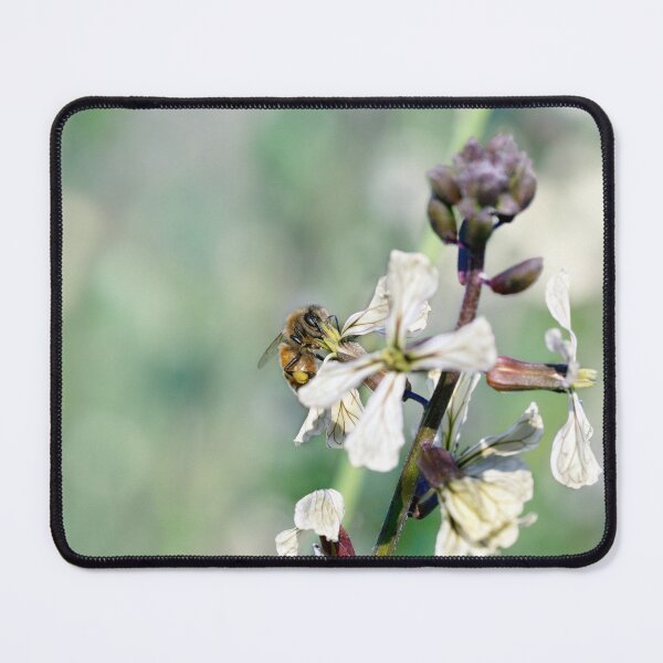 Item preview, Honey Bee Doing the Rounds designed and sold by Siene Browne.