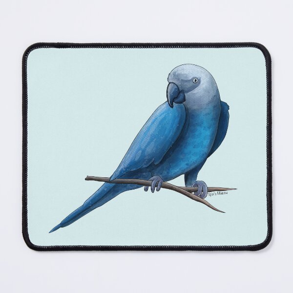 Item preview, Spix's Macaw Painting designed and sold by Meganemer4.