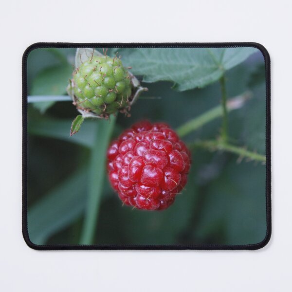 Item preview, Ripening Boysenberries designed and sold by Siene Browne.