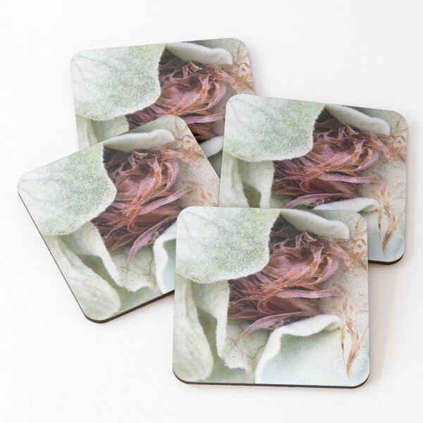 Item preview, Staghorn Fern designed and sold by Siene Browne.