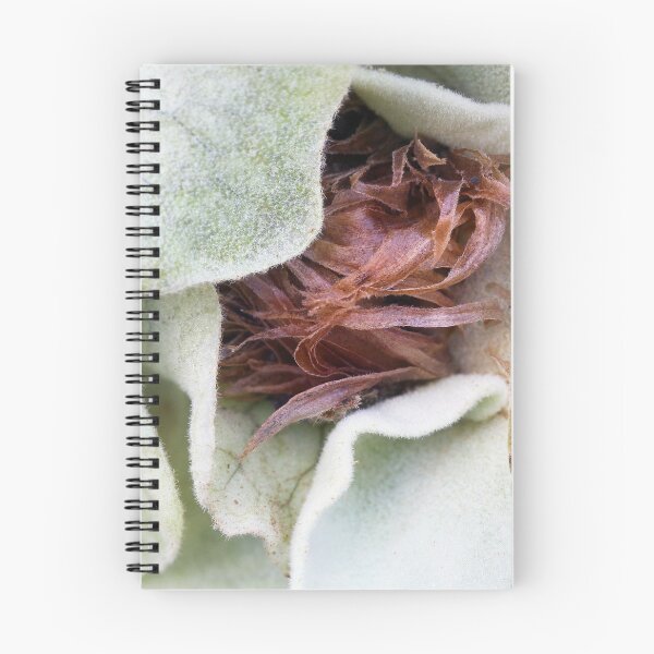 Item preview, Staghorn Fern designed and sold by Siene Browne.