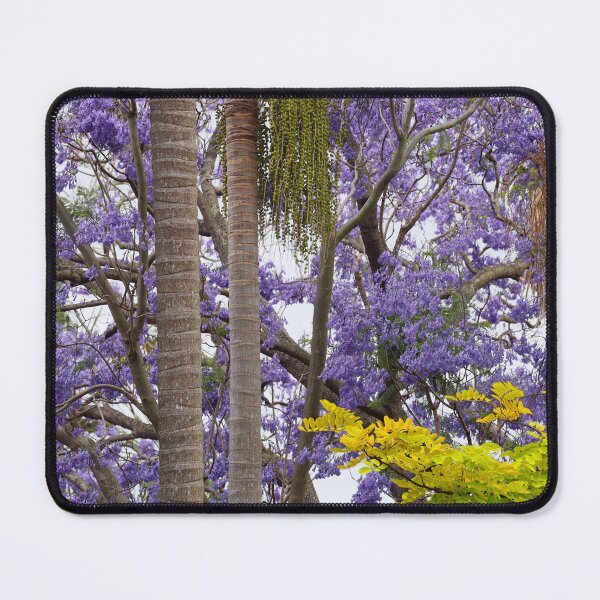 Item preview, Jacarandas, Palm Trees and a Golden Robinia designed and sold by Siene Browne.