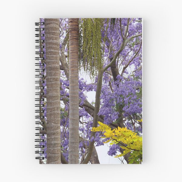 Item preview, Jacarandas, Palm Trees and a Golden Robinia designed and sold by Siene Browne.