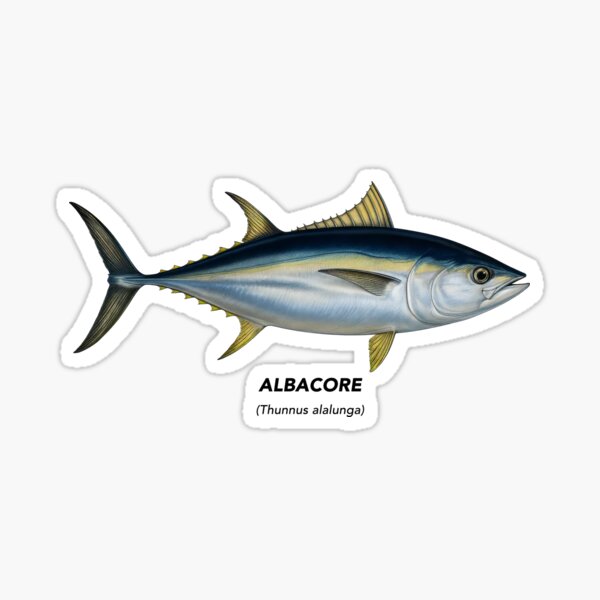 Vista previa del artículo con la obra «Albacora – Animales marinos de California», diseñado y vendido por CaliforniaVibe.