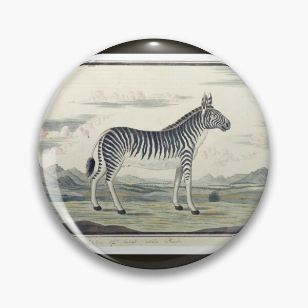 Item preview, Mountain Zebra by Robert Jacob Gordon designed and sold by Amanda1775.