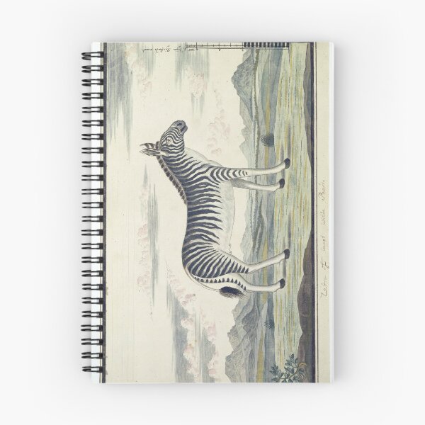 Item preview, Mountain Zebra by Robert Jacob Gordon designed and sold by Amanda1775.