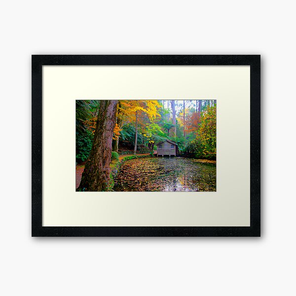 Item preview, All the colours of the rainbow at Alfred Nicholas Gardens designed and sold by Elana Bailey.