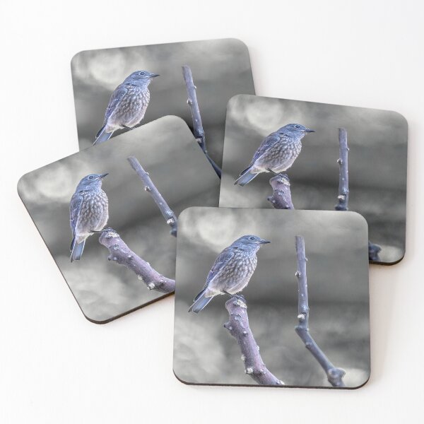 Item preview, Mountain Bluebird  designed and sold by CarolM.