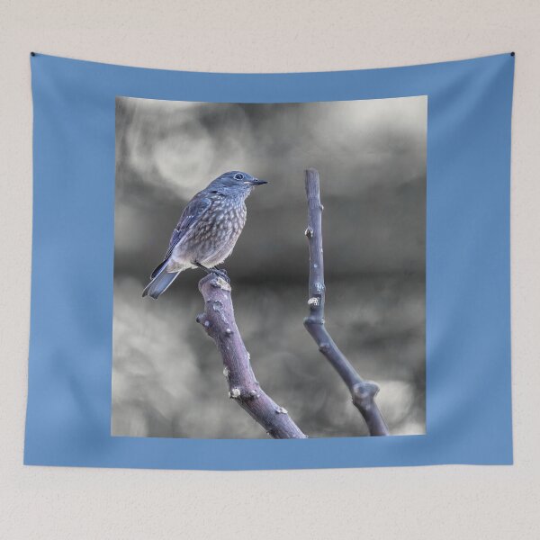 Item preview, Mountain Bluebird  designed and sold by CarolM.