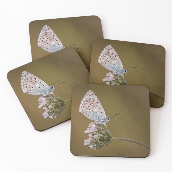 Item preview, Chalkhill Blue On Wild Carrot designed and sold by Alec Stewart.