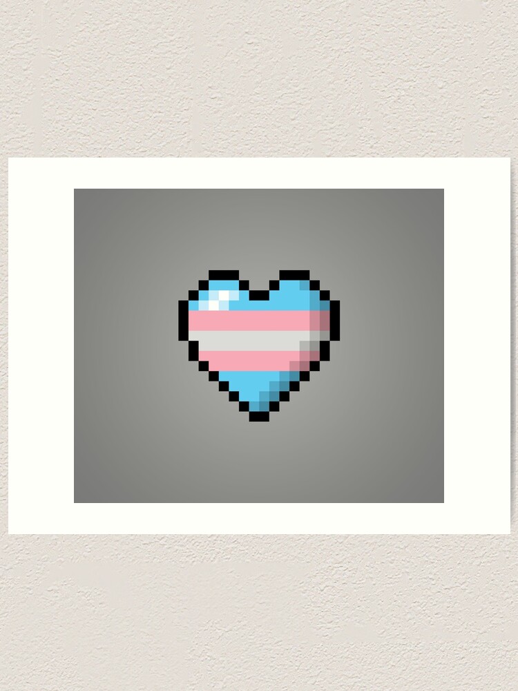 Large Trans Pride Flag