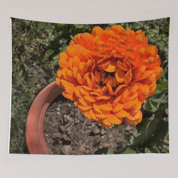 Item preview, Space Available designed and sold by Steve Walser.