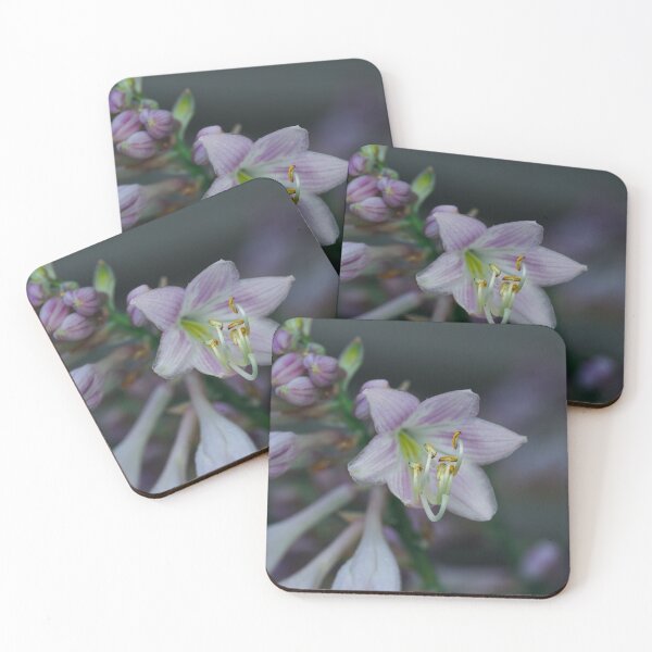Item preview, Hosta petals designed and sold by Cblifeisgood.