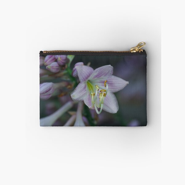 Aperçu de l'œuvre Pétales d'hosta créée et vendue par Cblifeisgood.