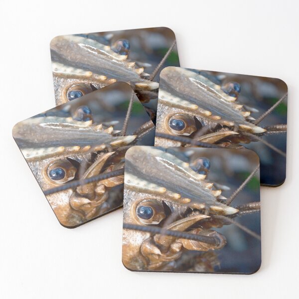 Item preview, Crayfish phone case designed and sold by Robbie Alexander.