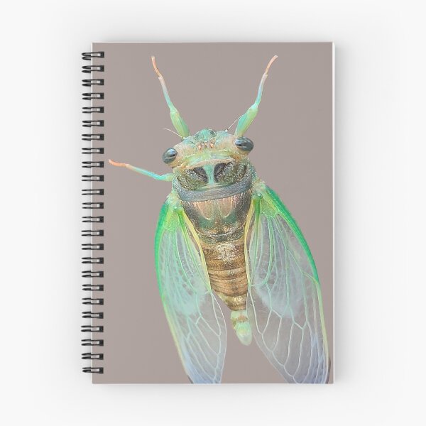 Item preview, Friendly Cicada designed and sold by AceDoodles-art.