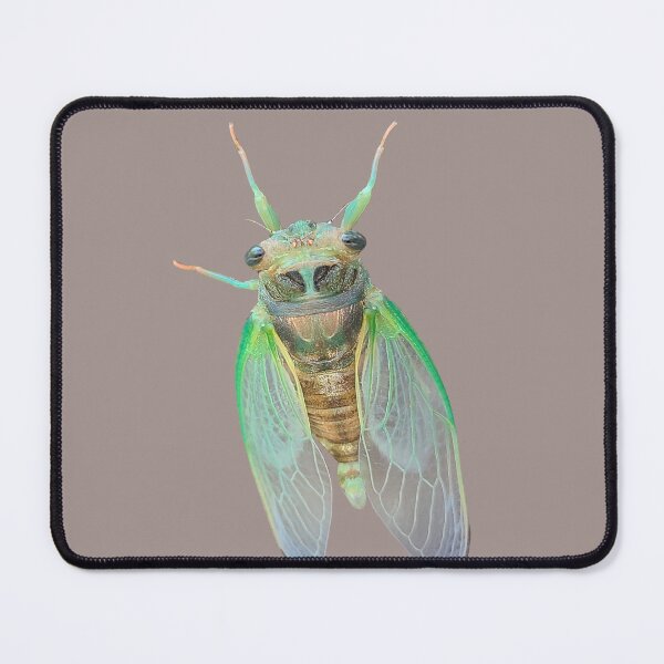 Item preview, Friendly Cicada designed and sold by AceDoodles-art.