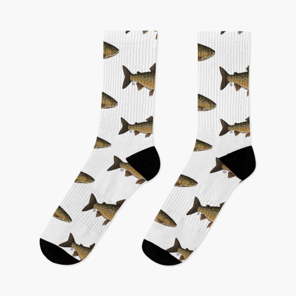 Item preview, Char - Vintage Japanese Inspired Art - Char Fish designed and sold by Kabuji Store.