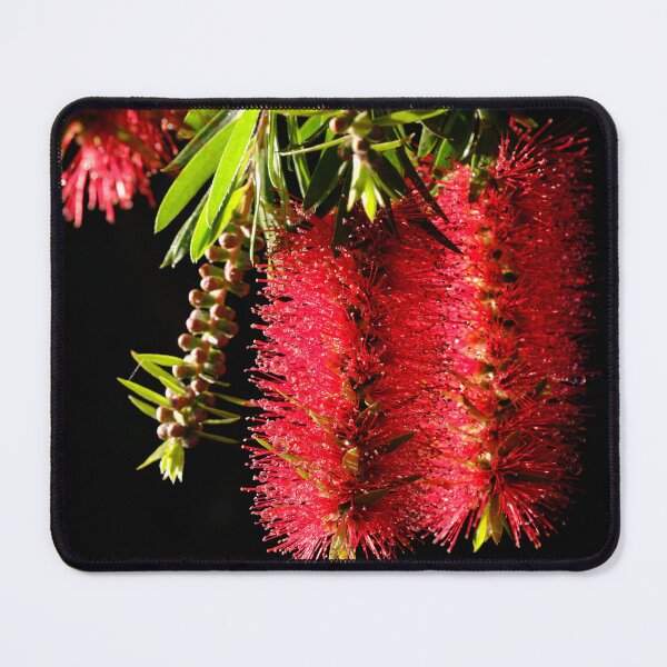 Item preview, Uplifting Bottle Brush designed and sold by Robbie Alexander.