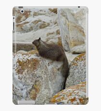 California Ground Squirrel-dom iPad Case/Skin