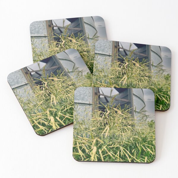 Item preview, Overgrown Beauty – Nature Reclaims Abandoned Bin designed and sold by teach92.