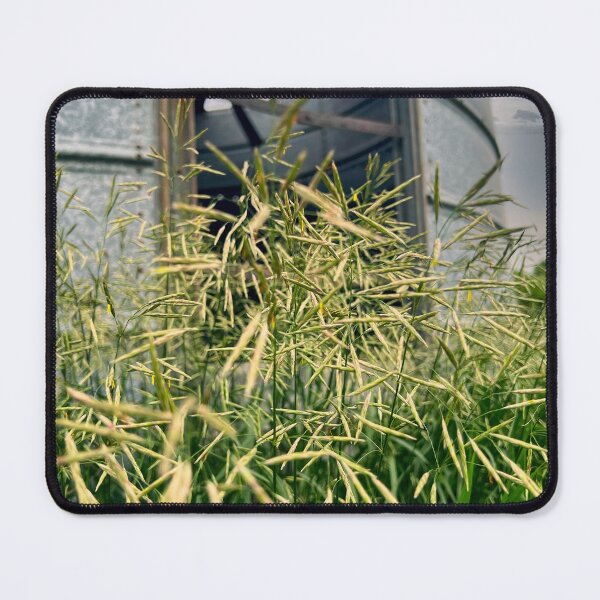 Item preview, Overgrown Beauty – Nature Reclaims Abandoned Bin designed and sold by teach92.