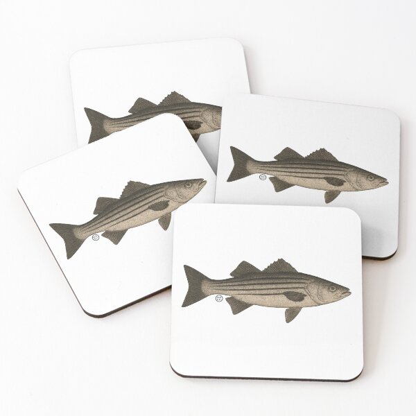 Item preview, Bass - Vintage Japanese Inspired Art - Stripped Bass Fish designed and sold by Kabuji Store.