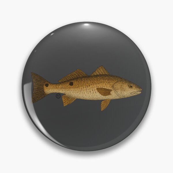 Item preview, Red Drum - Vintage Japanese Inspired Art - Red Drum Fish designed and sold by Kabuji Store.