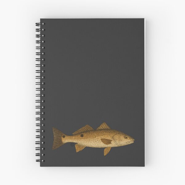 Item preview, Red Drum - Vintage Japanese Inspired Art - Red Drum Fish designed and sold by Kabuji Store.