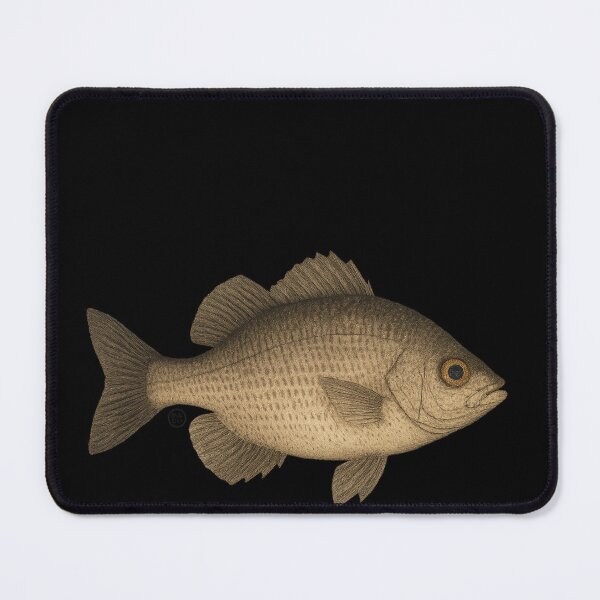Item preview, Mojarra - Vintage Japanese Inspired Art - Mojarra Fish designed and sold by Kabuji Store.