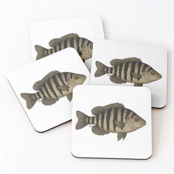 Item preview, Convict Fish - Vintage Japanese Inspired Art - Convict Cichlid Fish designed and sold by Kabuji Store.