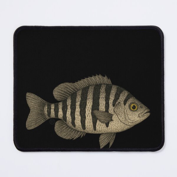 Item preview, Convict Fish - Vintage Japanese Inspired Art - Convict Cichlid Fish designed and sold by Kabuji Store.