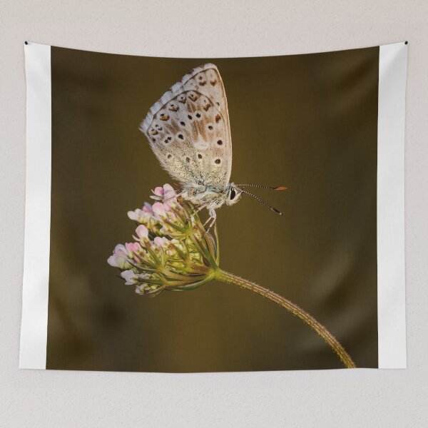 Item preview, Chalkhill Blue designed and sold by Alec Stewart.