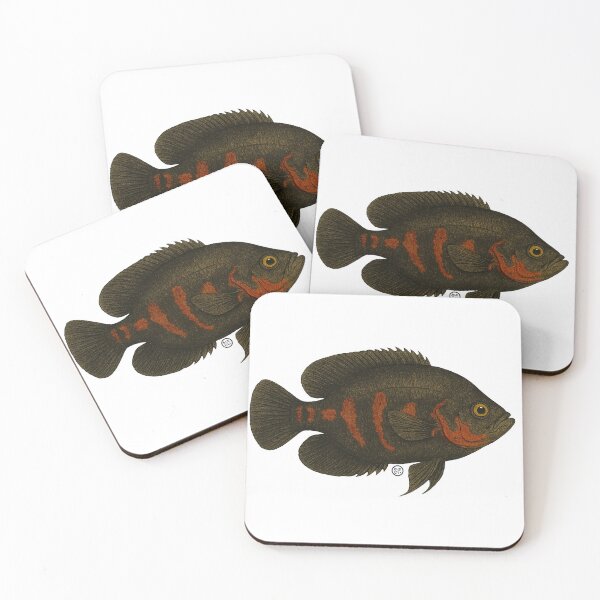 Item preview, Oscar Fish - Vintage Japanese Inspired Art - Amazon Fish designed and sold by Kabuji Store.