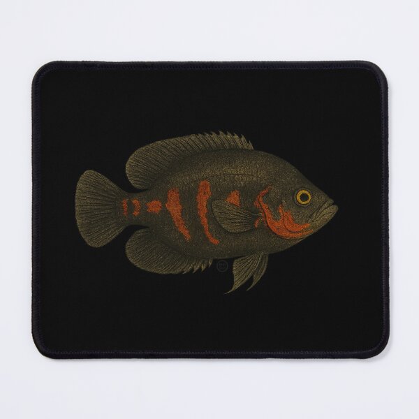 Item preview, Oscar Fish - Vintage Japanese Inspired Art - Amazon Fish designed and sold by Kabuji Store.
