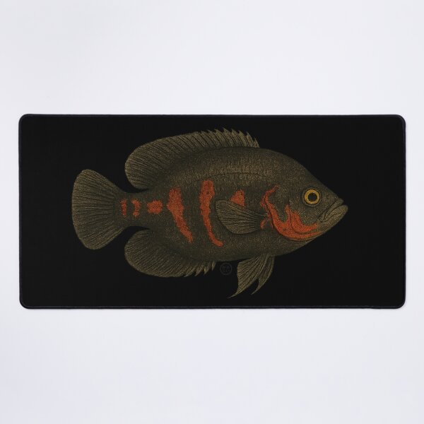 Item preview, Oscar Fish - Vintage Japanese Inspired Art - Amazon Fish designed and sold by Kabuji Store.