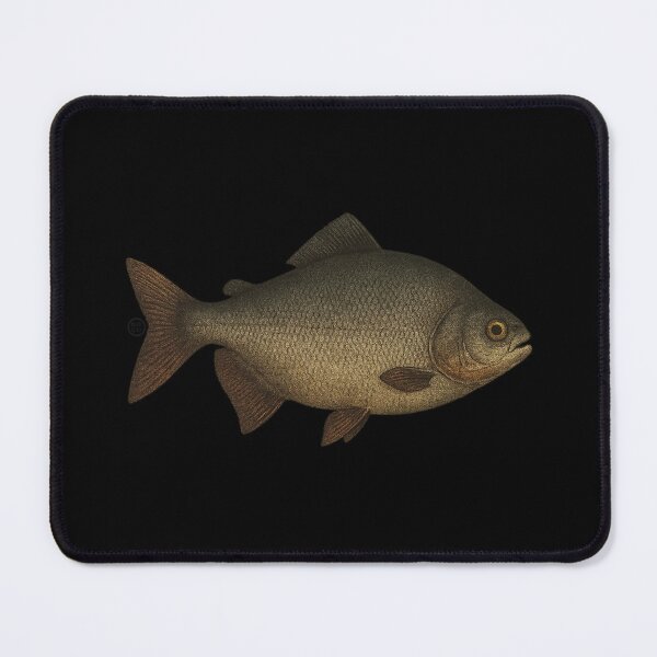 Item preview, Pacu Fish - Vintage Japanese Inspired Art - Pacu Amazon Fish designed and sold by Kabuji Store.