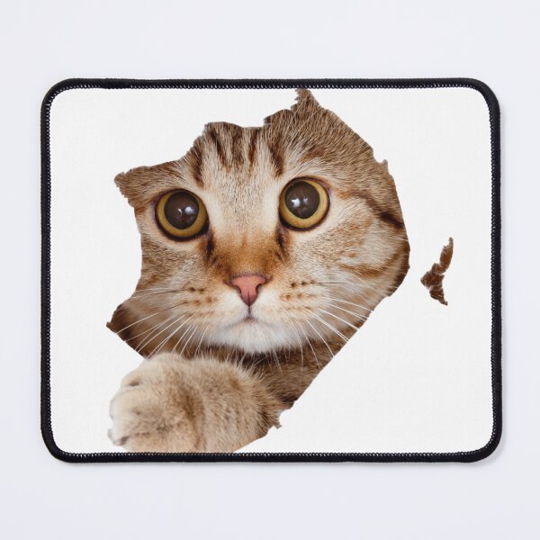 Item preview, Cat Looking From Whole designed and sold by Sus94ovan.