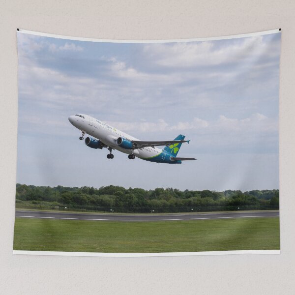 Item preview, MAN to DUB Aer Lingus Airbus A320-214 designed and sold by Skyframe Aviation.