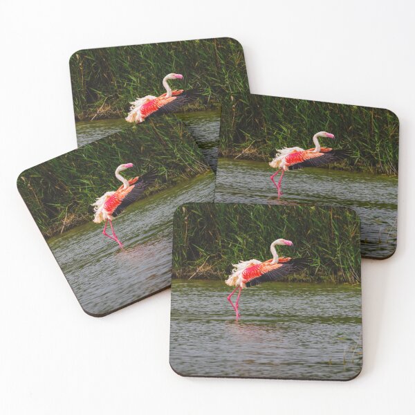 Item preview, Pretty Flamingo designed and sold by Ralph Goldsmith.