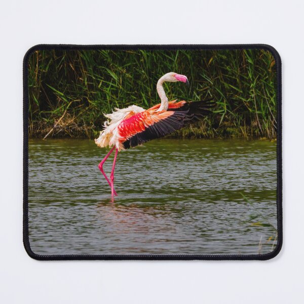 Item preview, Pretty Flamingo designed and sold by Ralph Goldsmith.