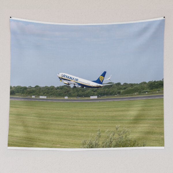 Item preview, MAN a MXP Ryanair Boeing 737-8AS designed and sold by Skyframe Aviation.
