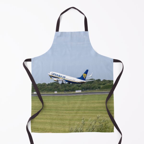 Item preview, MAN to MXP Ryanair Boeing 737-8AS designed and sold by Skyframe Aviation.